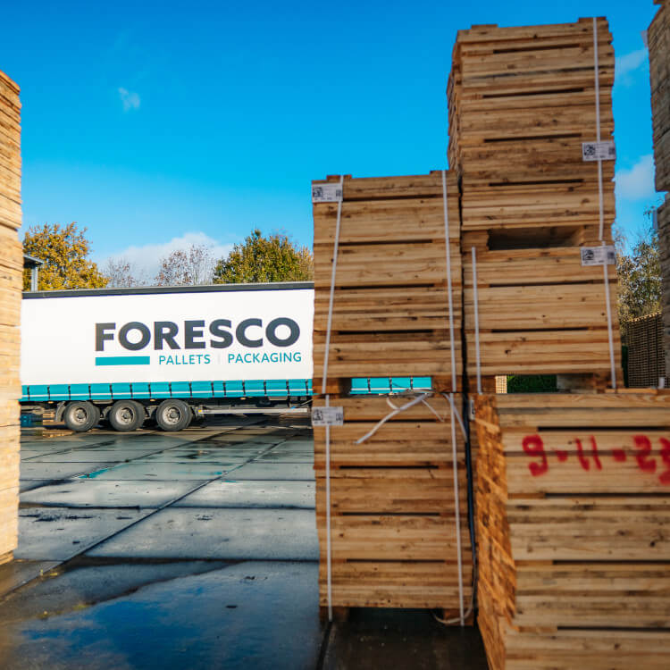 foresco hasselt en dongen 1600x1600 81